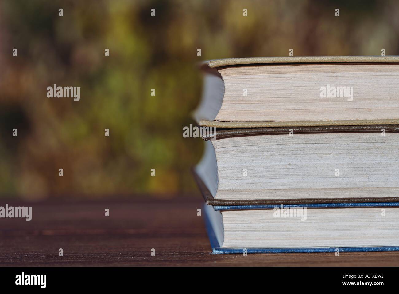 Pila di libri su un tavolo di legno sullo sfondo di un giardino estivo, da vicino Foto Stock