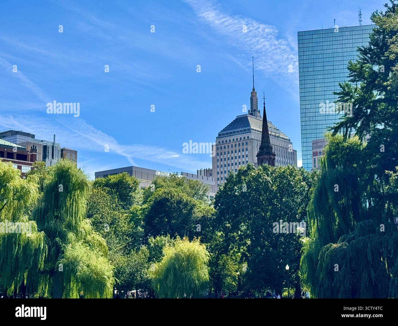 Edifici che si estendono sugli alberi visti dal Boston Public Garden in estate - Immagine stock catturata con smartphone