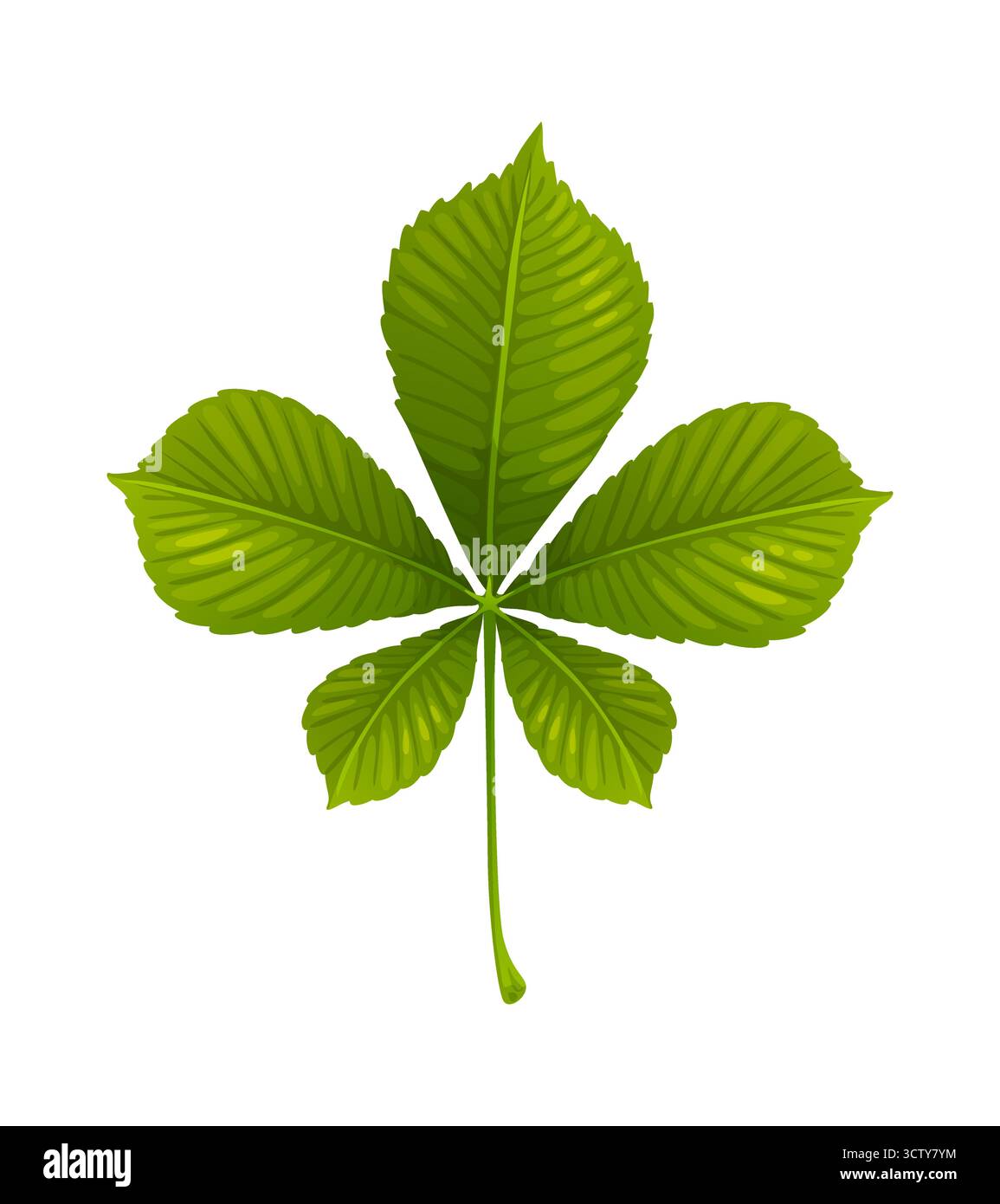 Foglie di castagno cartoni animati in autunno Illustrazione Vettoriale