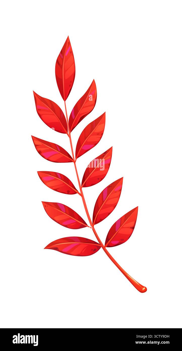 Cartoon rowan Leaf Branch nella stagione autunnale Illustrazione Vettoriale