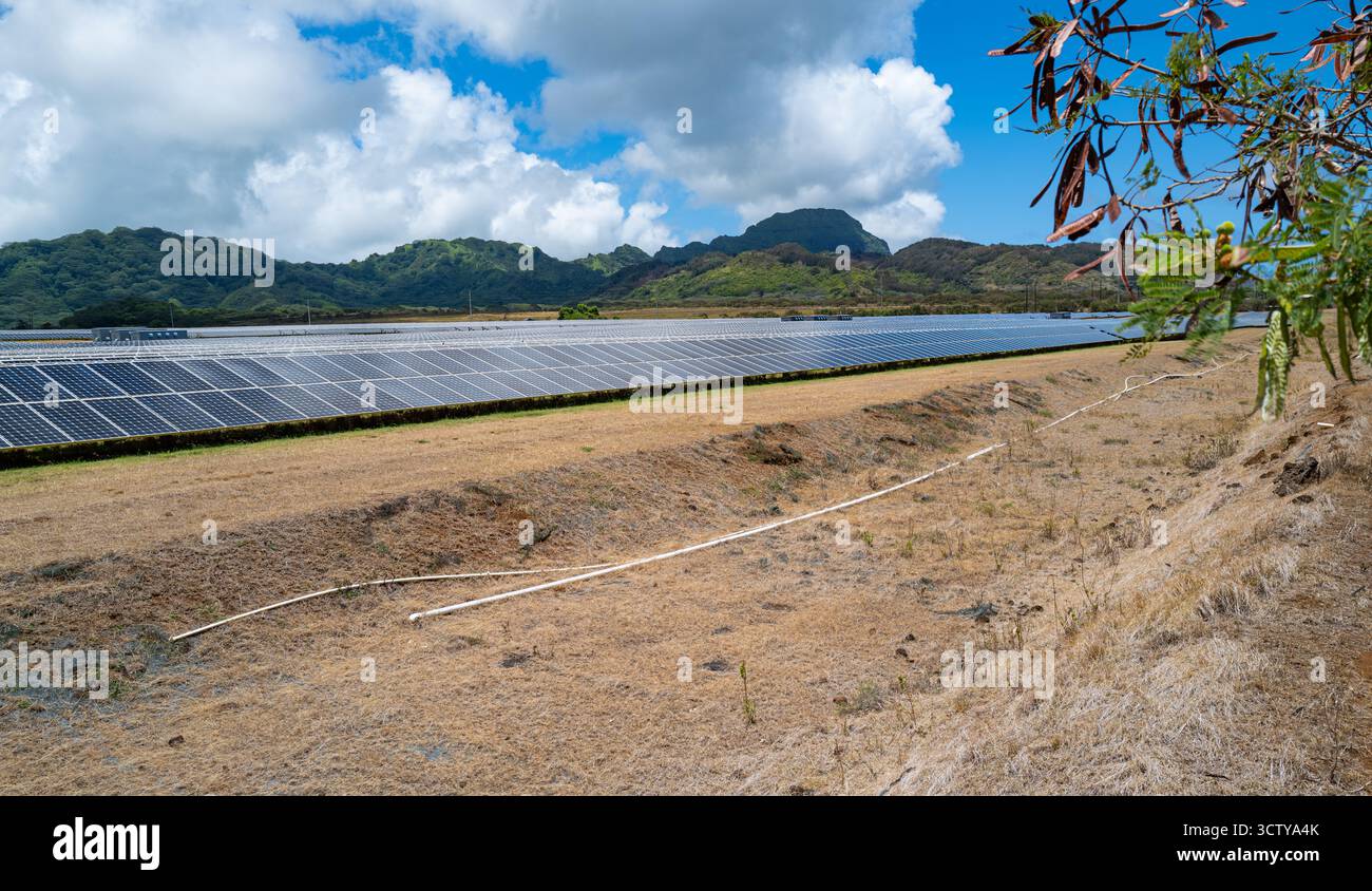 Pannelli solari nella Kōloa Solar Array gestiti dalla Kauai Island Utility Cooperative (KIUC), vicino a Mahaulepu Rd Alle Hawaii. Foto Stock