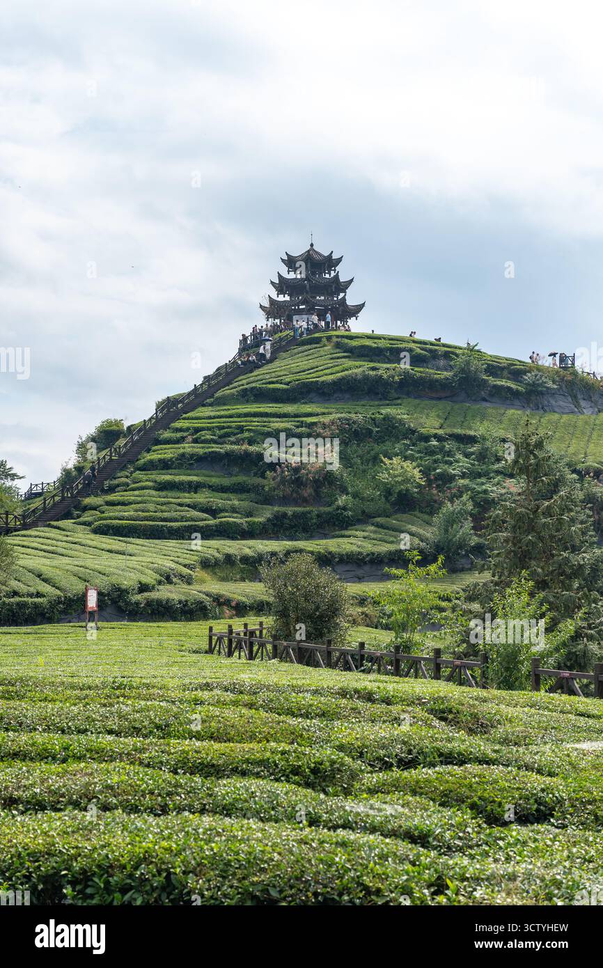 Una tradizionale pagoda cinese sorge in cima ad una lussureggiante piantagione di tè verde su una collina terrazzata nella città di Enshi, in Cina, sotto un cielo parzialmente nuvoloso. Foto Stock