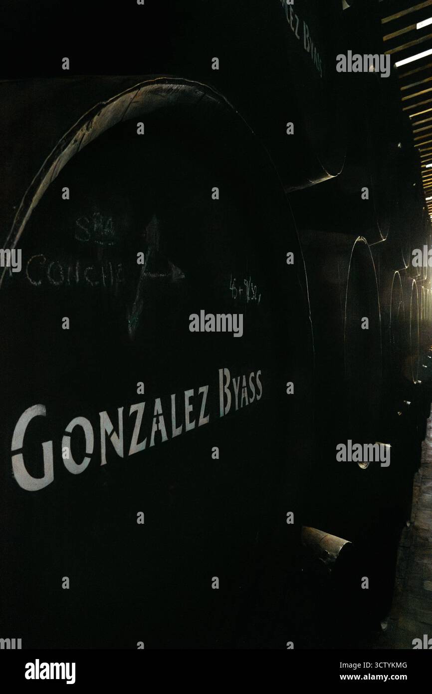 Vista ravvicinata e poco illuminata delle botti di sherry in legno da conservare in una cantina tradizionale con il marchio Gonzalez Byass Tio Pepe dipinto sul Foto Stock