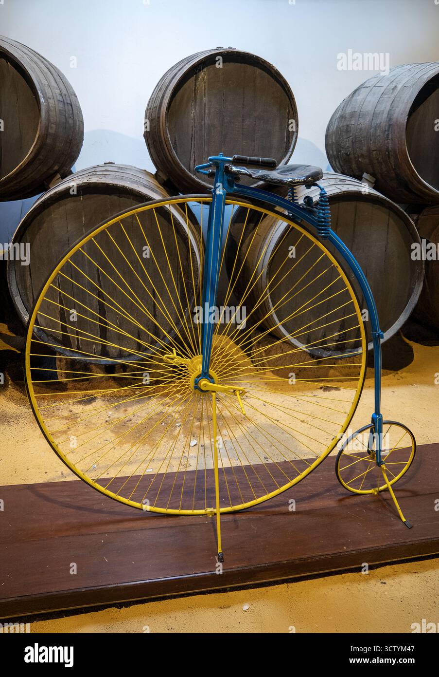 Un'antica bicicletta a due ruote vintage penny Farthing si trova di fronte a botti di legno invecchiate in una cantina rustica. Foto Stock