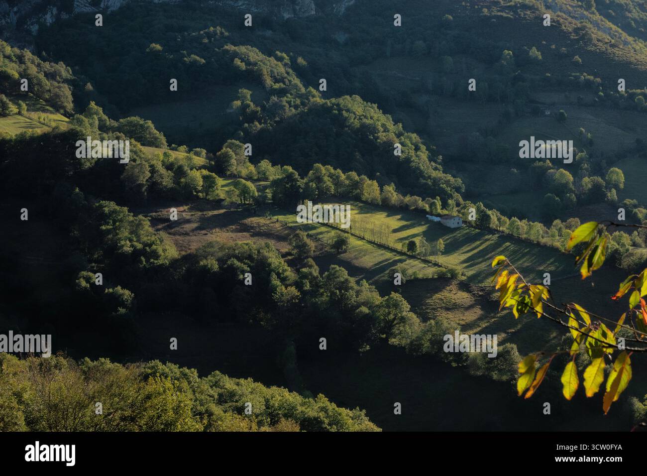 Splendida luce nella valle verdeggiante di Ojo de Buey e Peña Mea, Pelugano, Asturie, Spagna Foto Stock