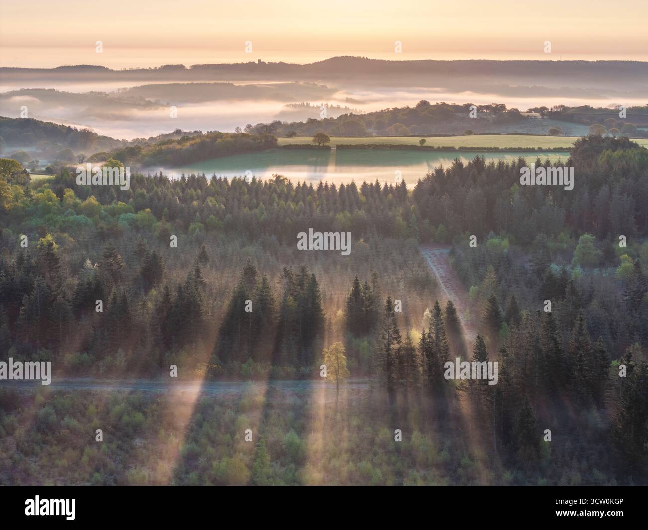 Misty Sunrise sopra i boschi e la campagna nel Dartmoor National Park, Devon, Inghilterra. Primavera (aprile) 2025. Foto Stock