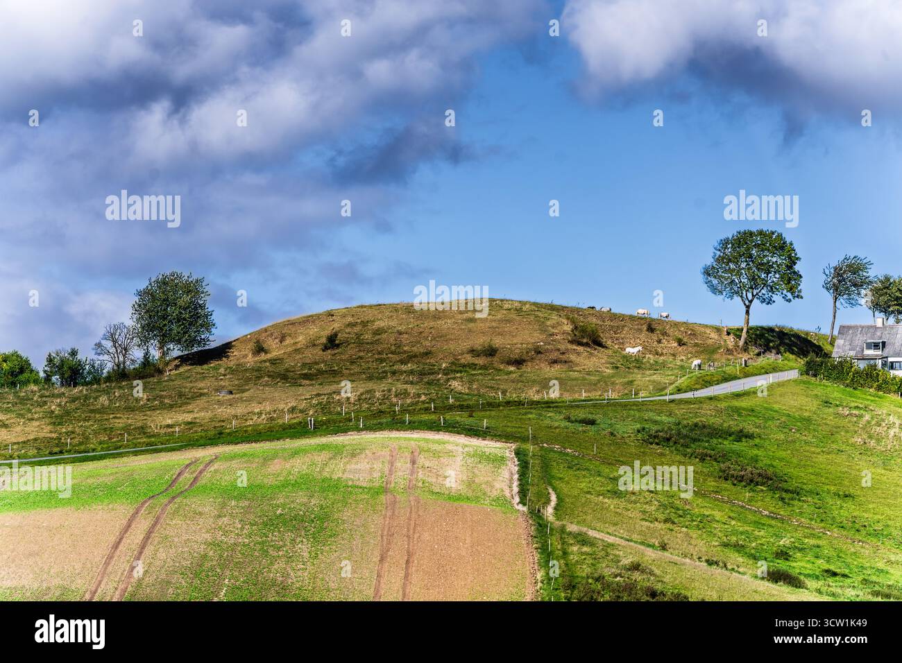 Un tranquillo scenario rurale caratterizzato da una collina erbosa, pascolo di pecore, una strada tortuosa e una fattoria nelle vicinanze. Il cielo azzurro con nuvole crea una calma, pas Foto Stock
