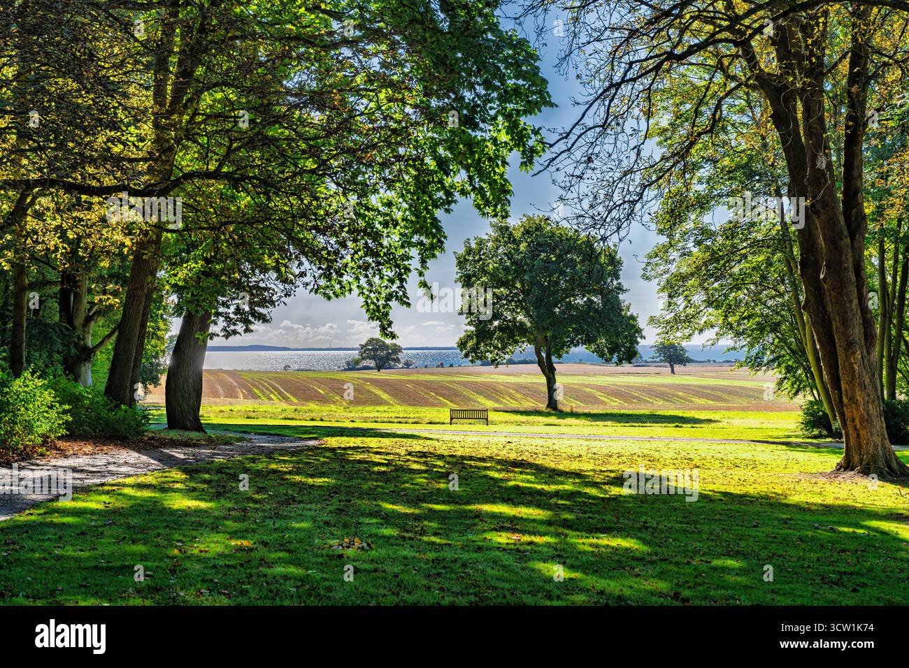Un tranquillo paesaggio del parco incorniciato da alti alberi conduce a un campo aperto e a una costa lontana. Una panca solitaria invita a momenti tranquilli, mescolando ombra e su Foto Stock