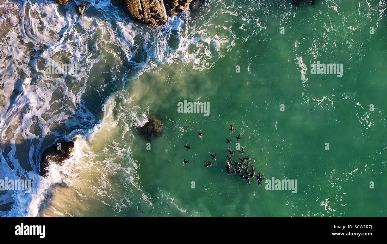 Veduta aerea dell'incontro di acque turchesi e onde spumose vicino a affioramenti rocciosi, dove si riunisce un gregge di uccelli, città del Capo, Capo Occidentale, Sud Africa. Foto Stock