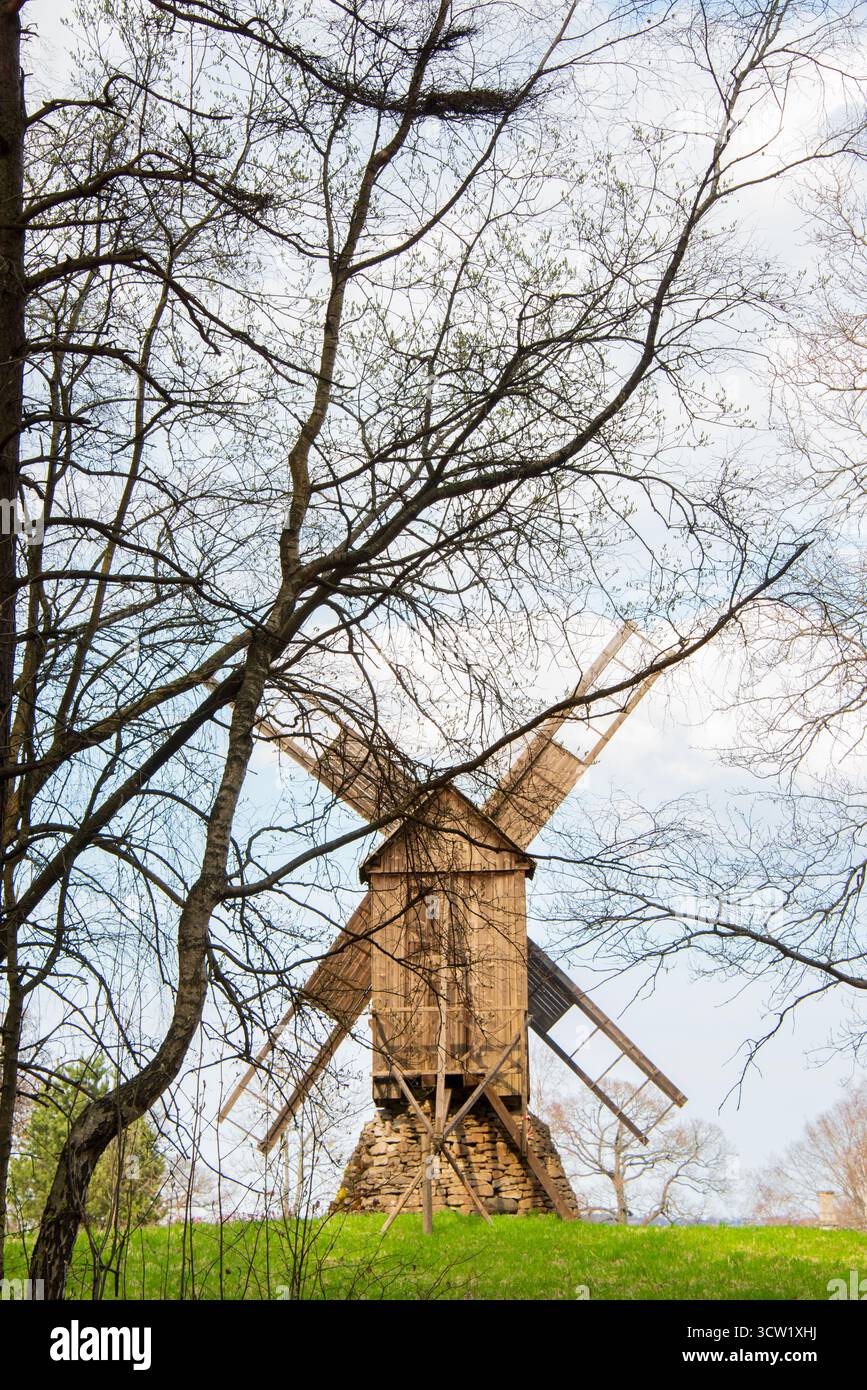 Tradizionale mulino a vento in legno che si erge alto in una campagna panoramica circondata da pini e campo verde aperto sotto il cielo blu. Foto Stock