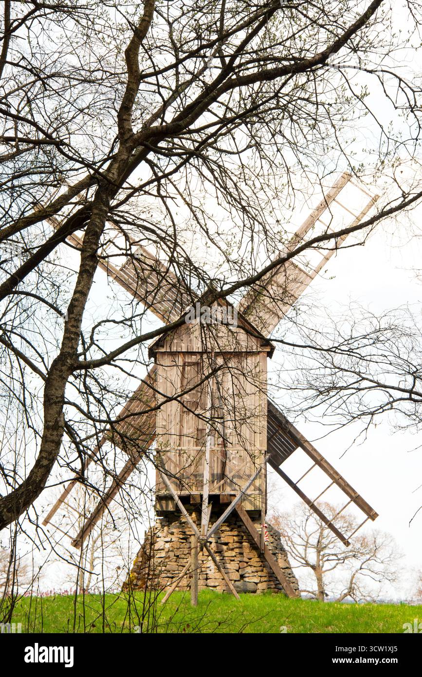 Tradizionale mulino a vento in legno che si erge alto in una campagna panoramica circondata da pini e campo verde aperto sotto il cielo blu. Foto Stock