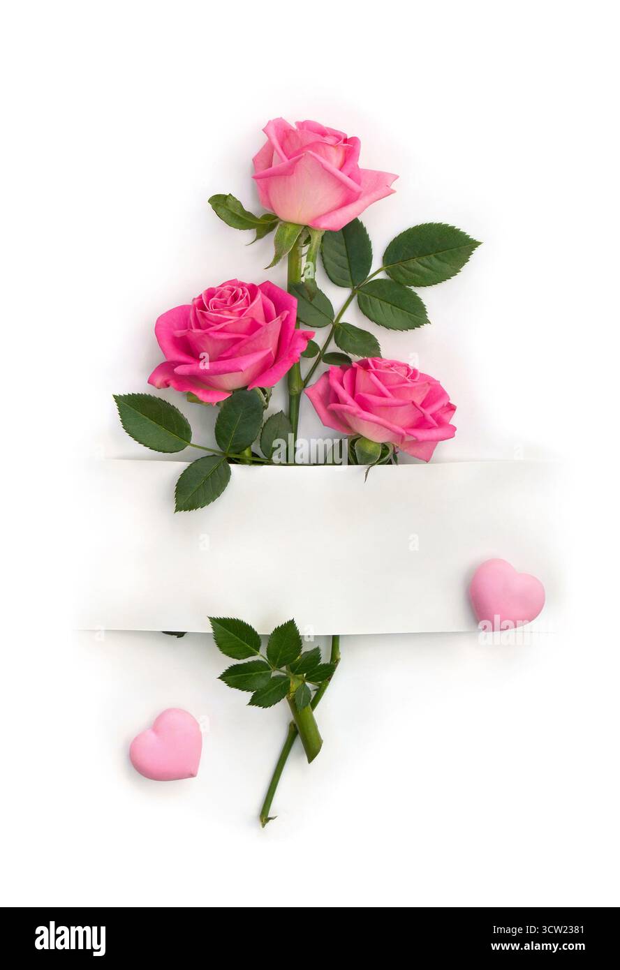 Fiori rosa rose, cuori e carta bianca con spazio per testo su sfondo bianco. Vista dall'alto, disposizione piatta Foto Stock