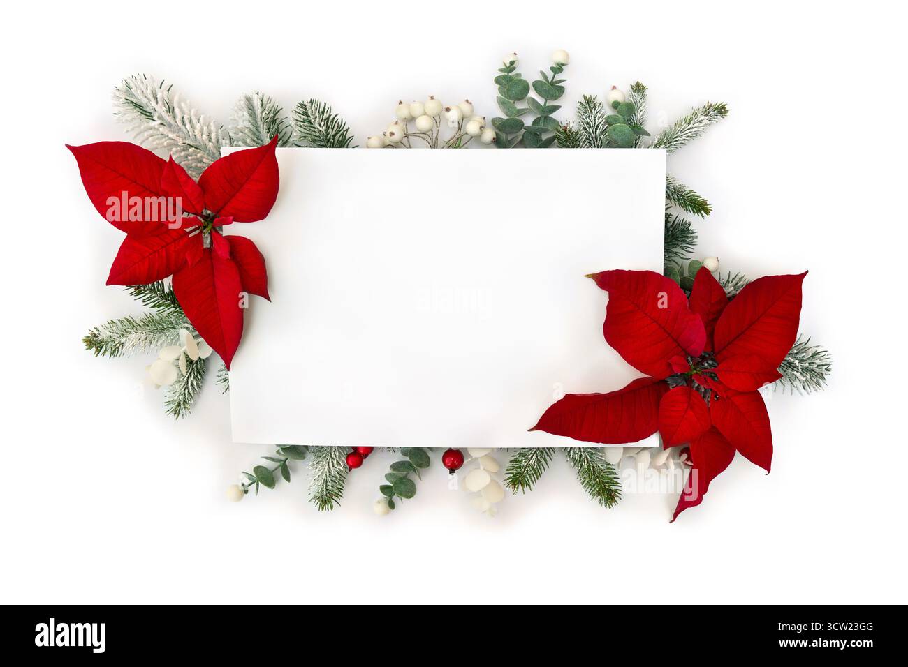 Decorazione natalizia. Fiori di punta rossa, albero di natale ramificato, mietitura di bacche, bacche rosse con carta bianca Foto Stock