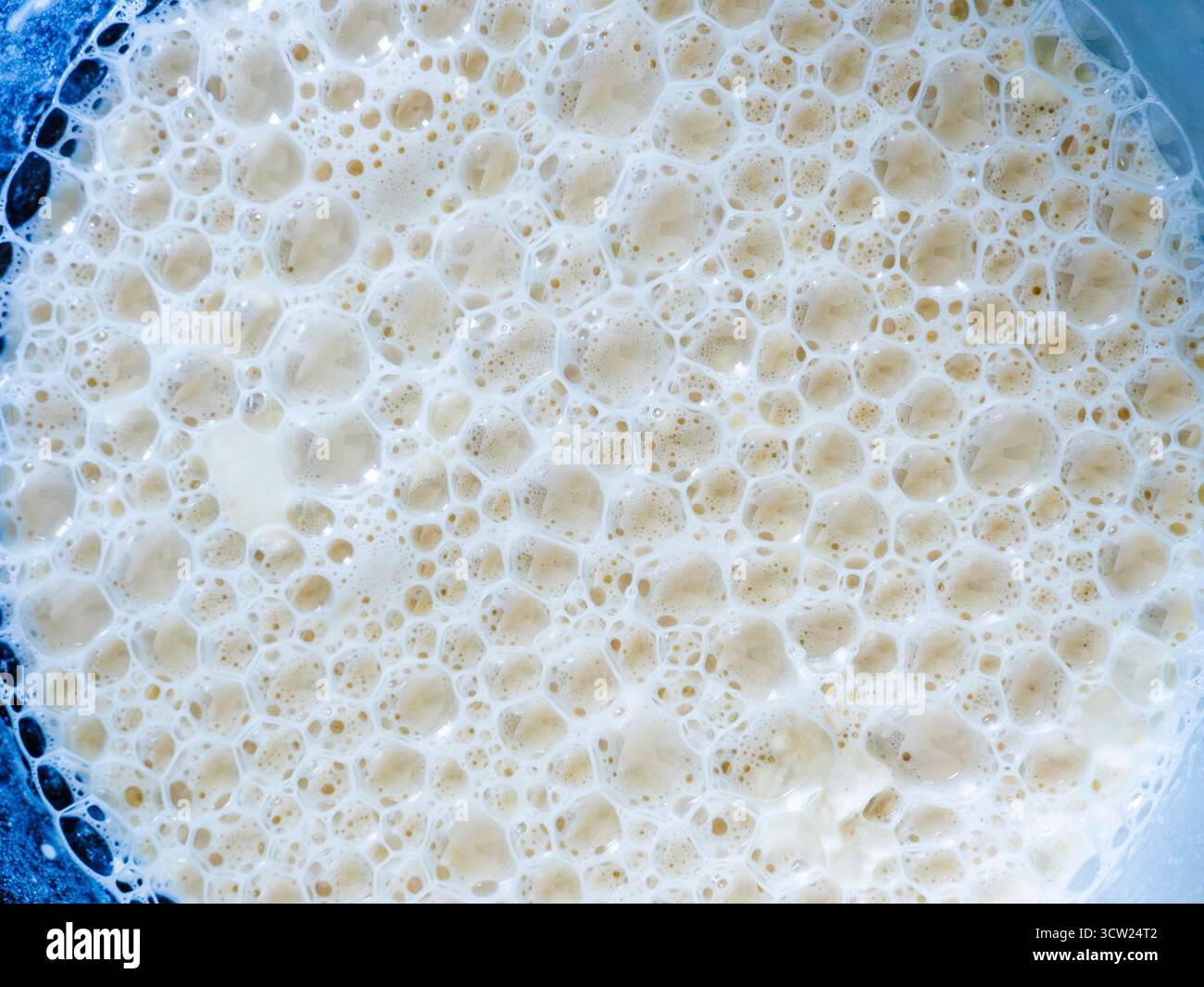 Il liquido bianco e giallastro bolle in primo piano formando una consistenza di cerchi interconnessi, indicando un processo biologico attivo come la fermenta Foto Stock
