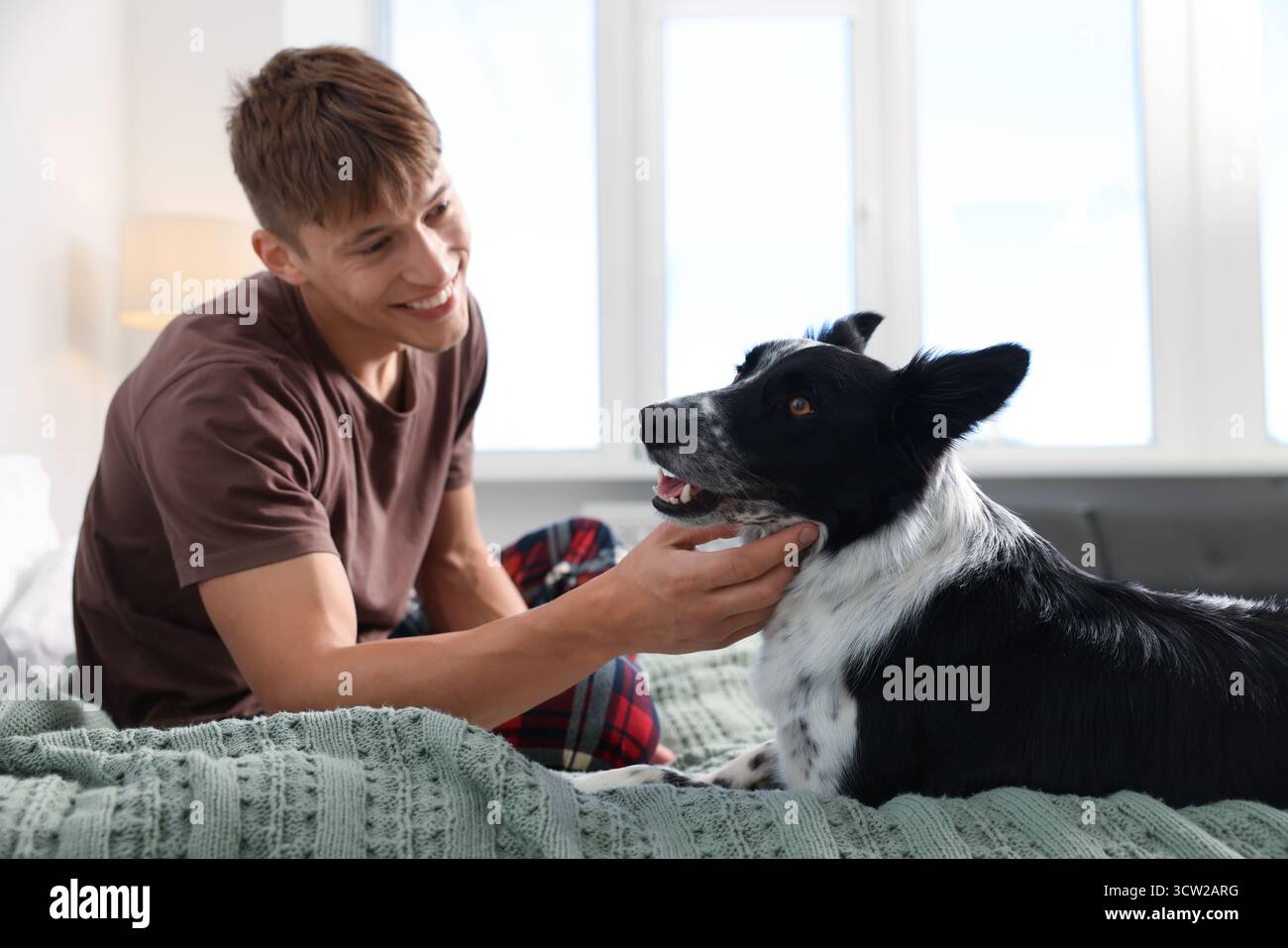 Hotel in cui sono ammessi gli animali domestici. L'uomo e il suo carino cane a letto al chiuso Foto Stock