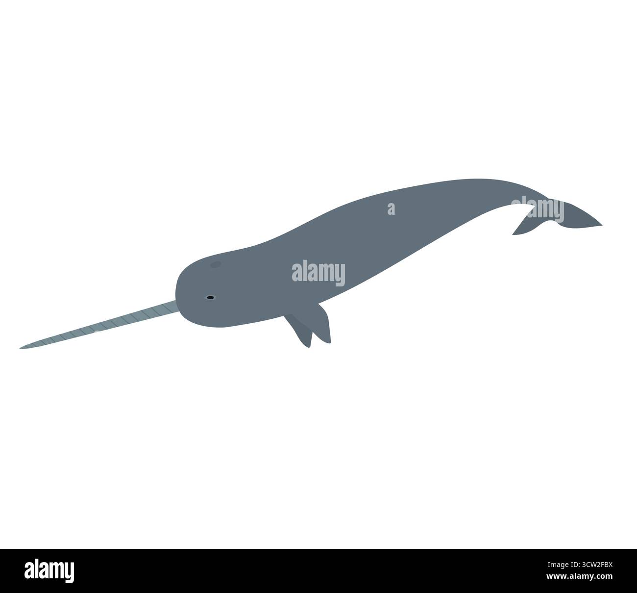 Vettore piatto disegnato a mano con narwhal Illustrazione Vettoriale
