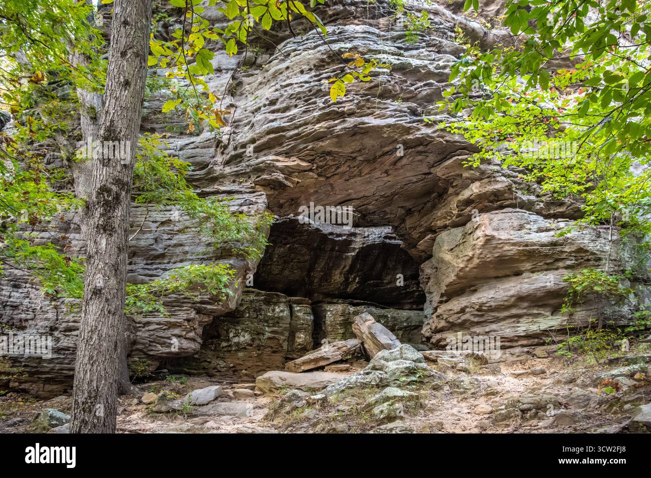 Arch of the Gods nell'area ricreativa Garden of the Gods dell'Illinois meridionale all'interno della Shawnee National Forest. (USA) Foto Stock