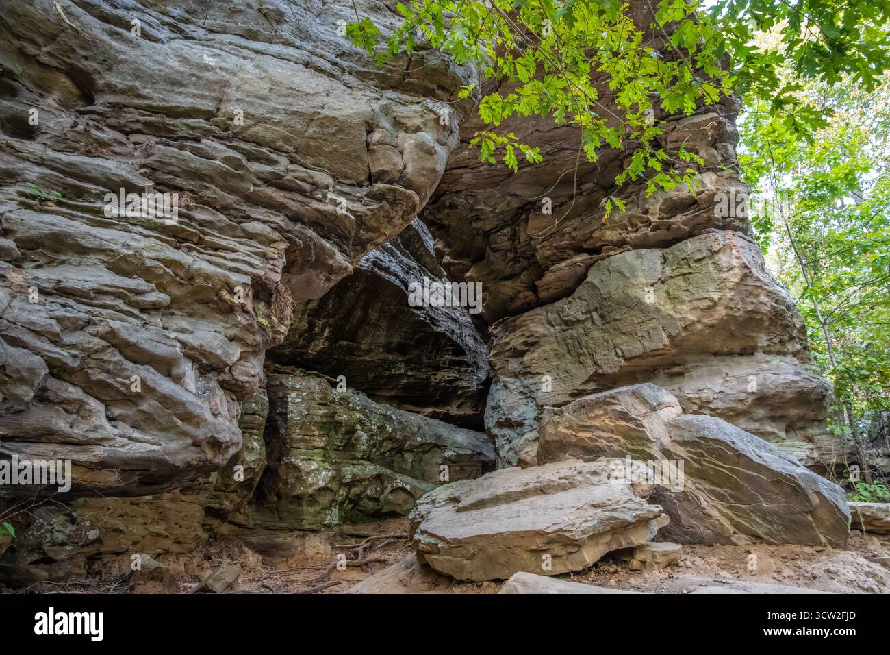 Arch of the Gods nell'area ricreativa Garden of the Gods dell'Illinois meridionale all'interno della Shawnee National Forest. (USA) Foto Stock