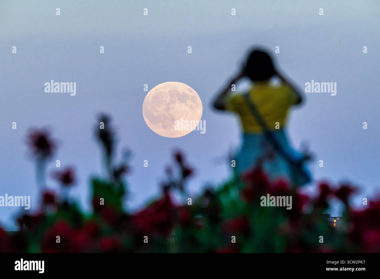 Harvest Moon Over Washington DC AS Woman Takes Photo // WASHINGTON DC — The Harvest Moon of October 6, 2025, è visto sorgere sulla città mentre una donna scatta una foto. La Luna del raccolto è la luna piena che si trova più vicina all'equinozio autunnale, storicamente importante per la raccolta delle colture. Questo evento celeste offre uno sfondo notevole al paesaggio urbano di Washington DC, la capitale degli Stati Uniti. Foto Stock