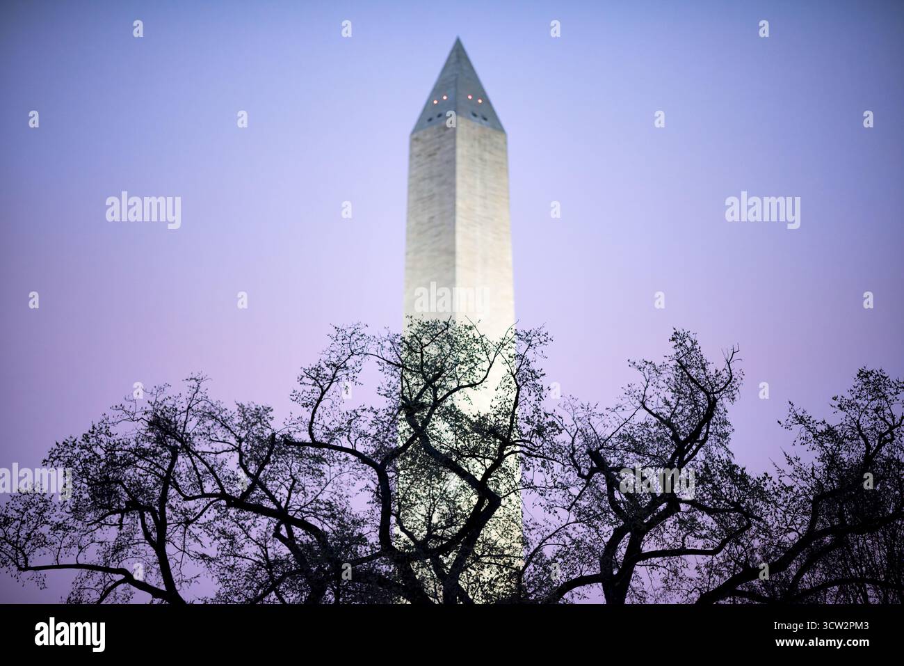 Monumento a Washington prima dell'alba National Mall Washington DC // WASHINGTON DC - il monumento a Washington è visibile prima dell'alba, con il suo obelisco illuminato che si innalza sopra i rami di alberi sagomati del National Mall. Questo iconico obelisco onora George Washington, il primo presidente degli Stati Uniti. Costruito in marmo, granito e gneiss di pietra blu, è un punto di riferimento importante nella capitale della nazione. Il monumento è alto 169,29 metri (555 piedi 5 1/8 pollici) ed è stato completato nel 1884. E' una caratteristica centrale del National Mall di Washington, D.C. Foto Stock