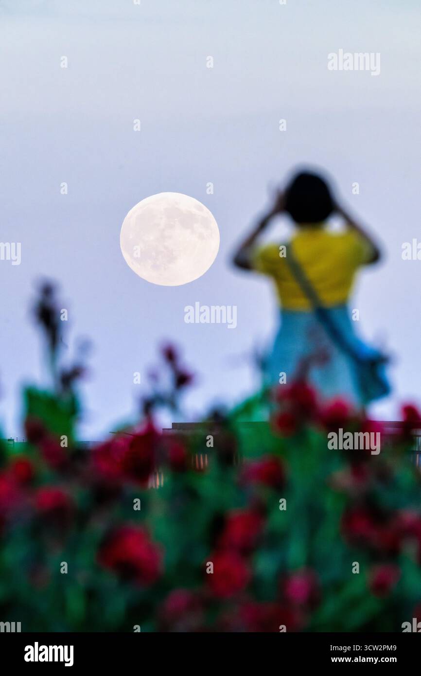 Harvest Moon Over Washington DC con la donna che la fotografa // WASHINGTON DC - The Harvest Moon del 6 ottobre 2025, si vede sorgere sulla città. Una donna è sagomata in primo piano e cattura l'evento celeste con la sua fotocamera. La Luna di Harvest è la luna piena più vicina all'equinozio autunnale, nota per il suo aspetto basso all'orizzonte, spesso apparente più grande e luminoso. Questo fenomeno annuale ha tradizionalmente fornito ulteriore luce agli agricoltori che raccolgono le colture. Foto Stock