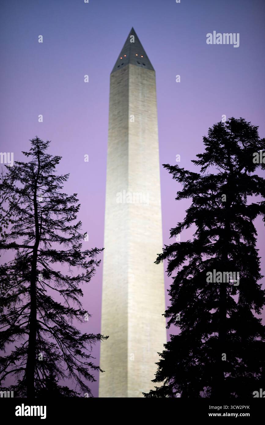 Washington Monument National Mall Washington DC prima dell'alba // WASHINGTON DC - il Washington Monument è visto contro un cielo prealba sul National Mall. Questo iconico obelisco, che commemora George Washington, è la struttura in pietra e l'obelisco più alti del mondo. Misura 169,294 metri (555 piedi 5⅛ pollici) di altezza. Costruita in marmo, granito e gneiss di pietra blusa, la sua costruzione è stata estesa dal 1848 al 1884. Il monumento è un importante punto di riferimento a Washington DC, situato al centro del National Mall. Foto Stock