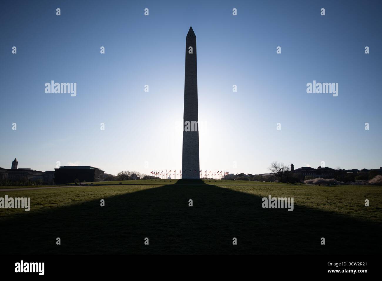 Washington Monument dal National Mall Washington DC // WASHINGTON DC - il Washington Monument, un iconico obelisco dedicato a George Washington, si staglia contro il cielo, gettando una lunga ombra attraverso il National Mall. Completato nel 1884, questo importante punto di riferimento nella capitale della nazione è realizzato in marmo, granito e gneiss di pietra blu. Raggiunge un'altezza di 169,29 metri (555 piedi 5 1/8 pollici) ed è circondato da un anello di 50 bandiere americane, che rappresentano gli stati. Il monumento è una caratteristica centrale del National Mall di Washington, D.C. Foto Stock Washington Monument dal National Mall Washington DC // WASHINGTON DC - il Washington Monument, un iconico obelisco dedicato a George Washington, si staglia contro il cielo, gettando una lunga ombra attraverso il National Mall. Completato nel 1884, questo importante punto di riferimento nella capitale della nazione è realizzato in marmo, granito e gneiss di pietra blu. Raggiunge un'altezza di 169,29 metri (555 piedi 5 1/8 pollici) ed è circondato da un anello di 50 bandiere americane, che rappresentano gli stati. Il monumento è una caratteristica centrale del National Mall di Washington, D.C. Foto Stock