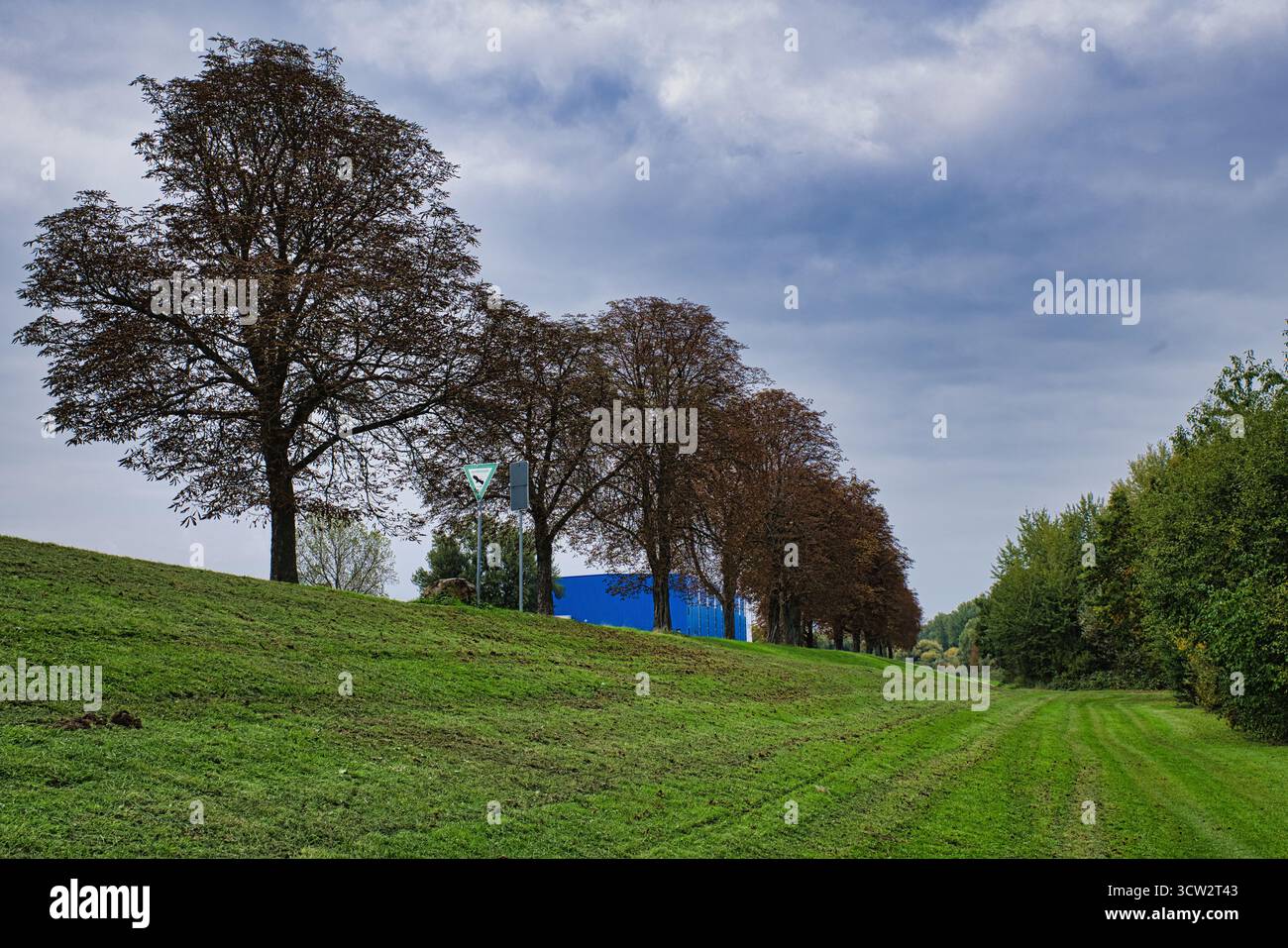 Vicolo alberato su un pendio verde erboso con segnaletica stradale sotto il cielo nuvoloso d'autunno vicino al sentiero di campagna e al margine della foresta Foto Stock