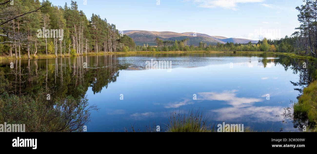 Uath Lochan, Glen Feshie, Cairngorms, Scozia Foto Stock