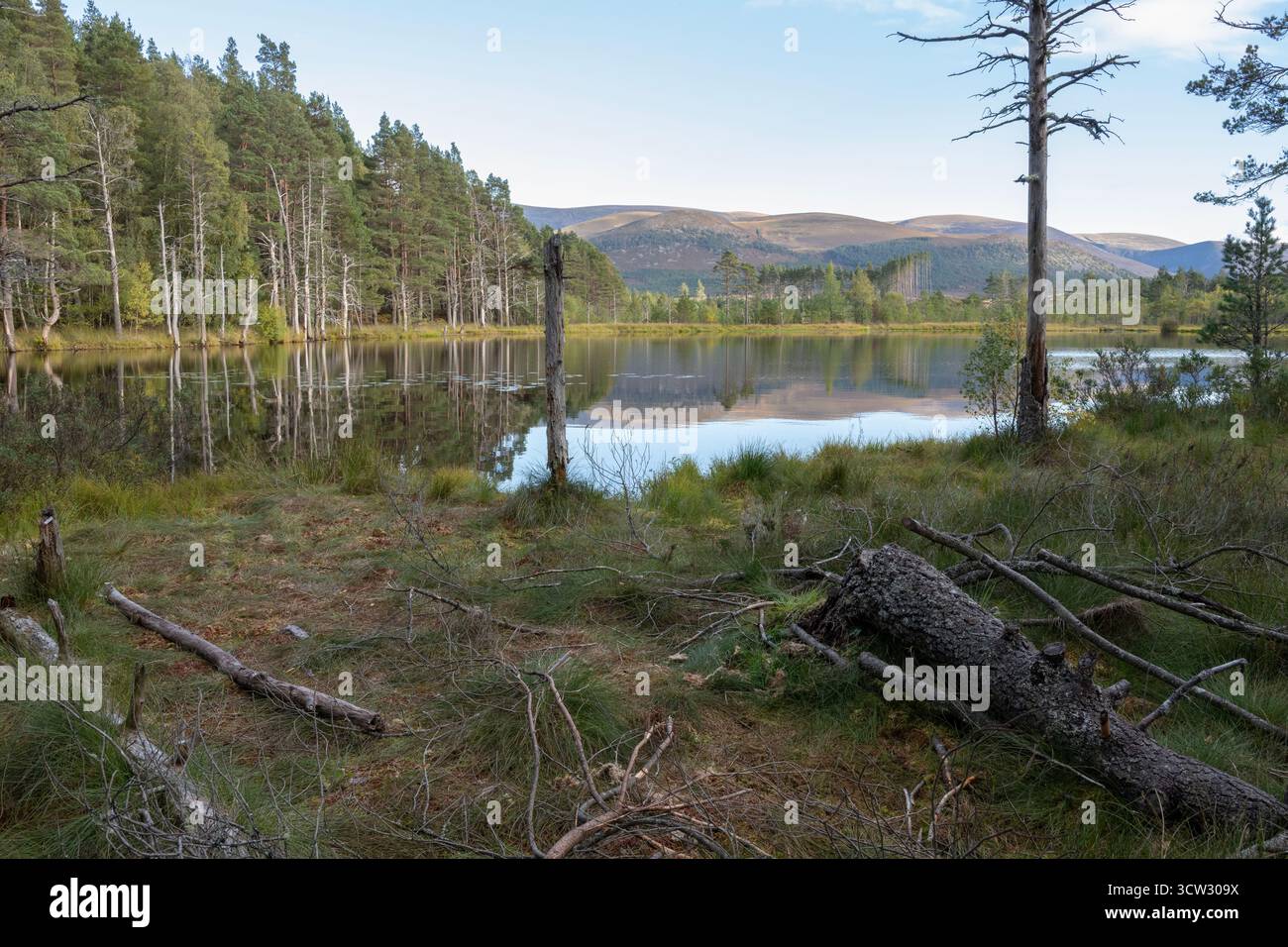 Uath Lochan, Glen fFeshie, Cairngorms, Scozia Foto Stock