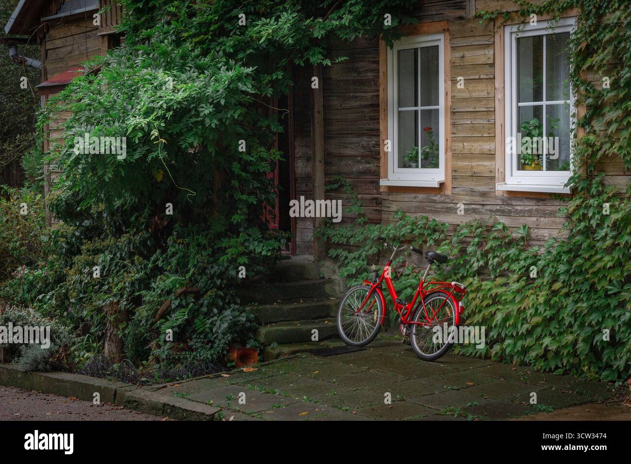 Bicicletta rossa in una vecchia casa di legno ricoperta di edera Foto Stock