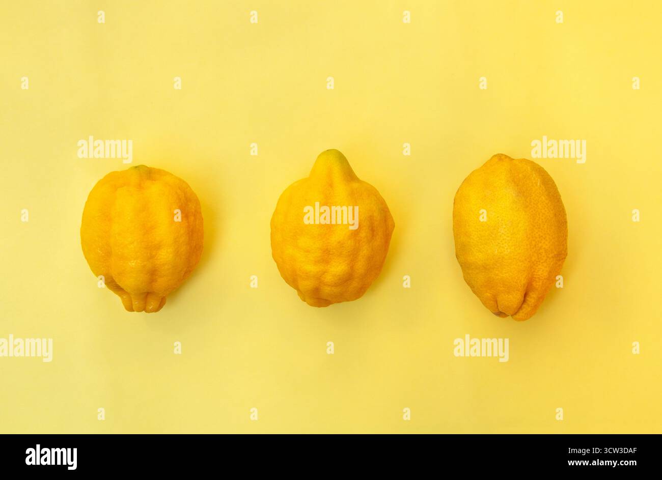 Tre limoni freschi su sfondo giallo. Disposizione piatta, vista dall'alto Foto Stock