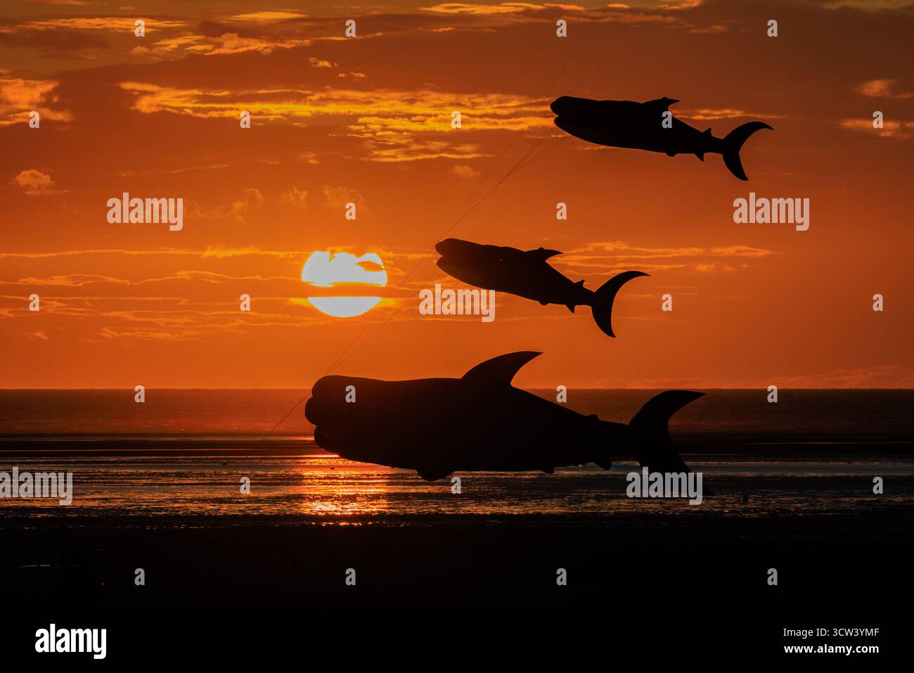 tramonto comico ma sereno di tre grandi aquiloni di balena che volano nel cielo arancione e il sole tramonta si riflette nel mare calmo festival degli aquiloni di st annes 2025 Foto Stock