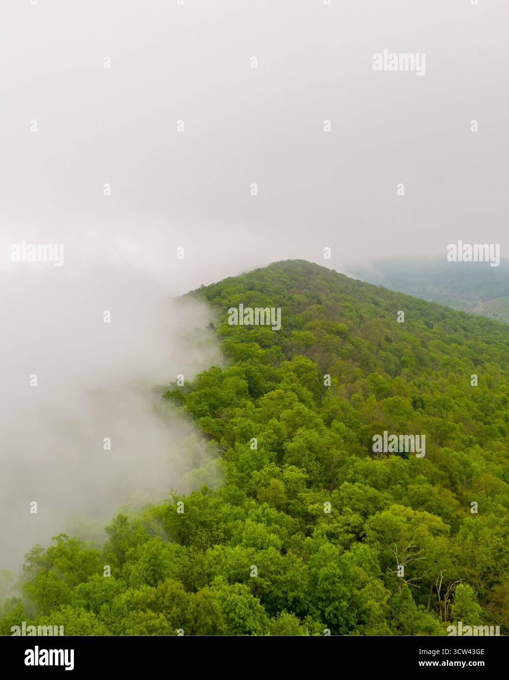 Vista aerea della lussureggiante cresta di montagna verde emerge dalla vorticosa nebbia bianca, una danza tranquilla dei contrasti della natura, Shenandoah, Virginia, Unite Foto Stock
