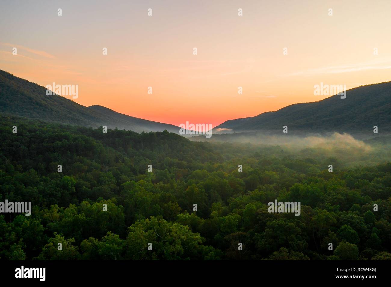 Vista aerea della lussureggiante e verde tettoia del Parco Nazionale dello Shenandoah che incontra le valli nebbiose mentre il sole dipinge il cielo con sfumature ardenti, Shenandoah, Virginia, Stati Uniti. Foto Stock