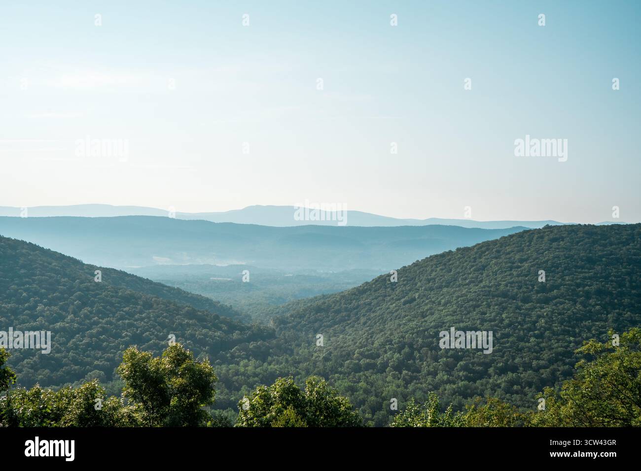 Veduta aerea della lussureggiante e verdeggiante valle dello Shenandoah e delle colline che svaniscono in lontananza sotto un cielo blu nebbioso, Shenandoah, Virginia, Stati Uniti. Foto Stock