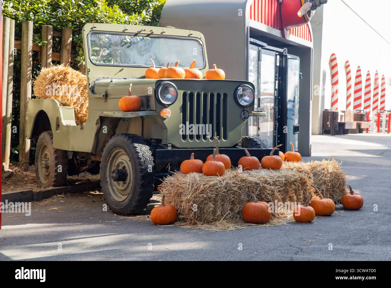 Decorazioni autunnali stagionali, un vecchio veicolo militare e zucche arancioni all'aperto. Jeep retrò e zucche. Foto Stock