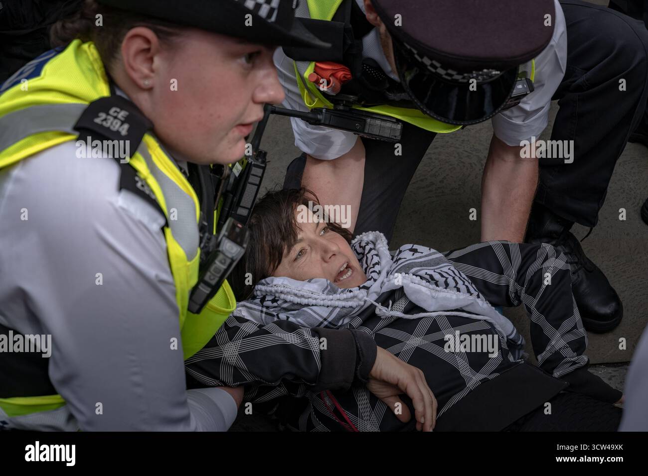 I manifestanti si preparano ad essere arrestati a Trafalgar Square mentre centinaia di persone si riuniscono per le continue proteste sulla “Palestina Action” da quando il gruppo è stato proscritto Foto Stock