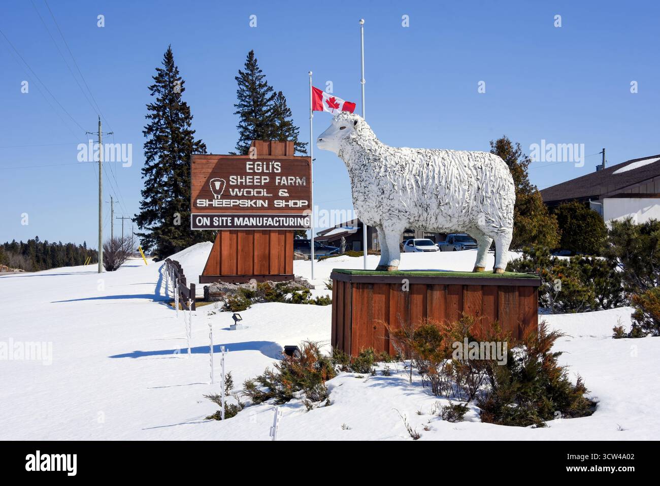 Minnitaki, Canada - 7 aprile. 2025: Egli's Sheep Farm and Wool and Sheepskin Shop a Minnitaki, Canada. Realizzano prodotti in lana e pelle di pecora Foto Stock