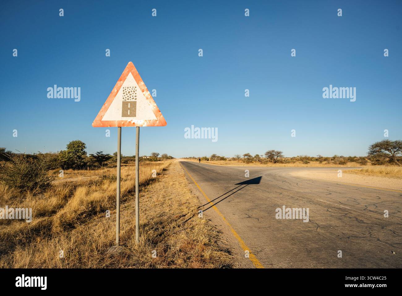 Strada asfaltata vicino a North Windhoek, Namibia, con un cartello stradale che avverte che una strada sterrata inizia davanti. Paesaggio rurale con alberi e versanti erbosi. Strada Foto Stock