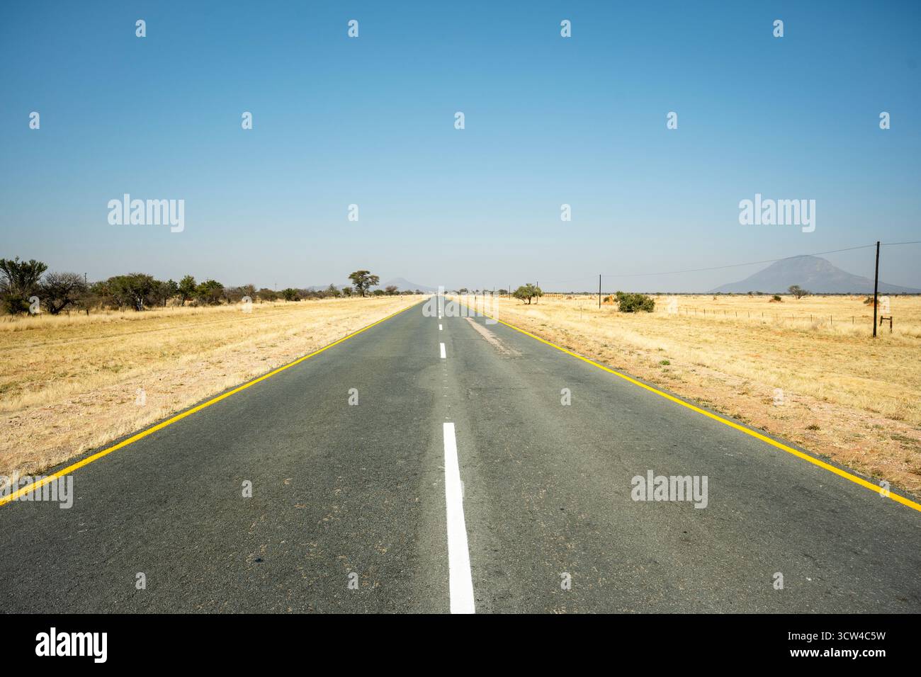Una strada che si snoda attraverso la savana a nord di Windhoek, Namibia, circondata da praterie aperte e alberi sparsi sotto un cielo limpido, catturando la Namibia» Foto Stock