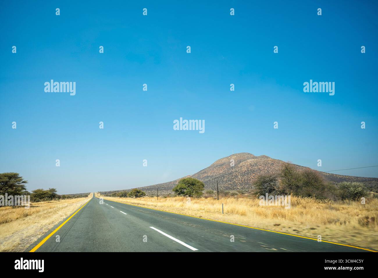 Una strada che si snoda attraverso la savana a nord di Windhoek, Namibia, circondata da praterie aperte e alberi sparsi sotto un cielo limpido, catturando la Namibia» Foto Stock