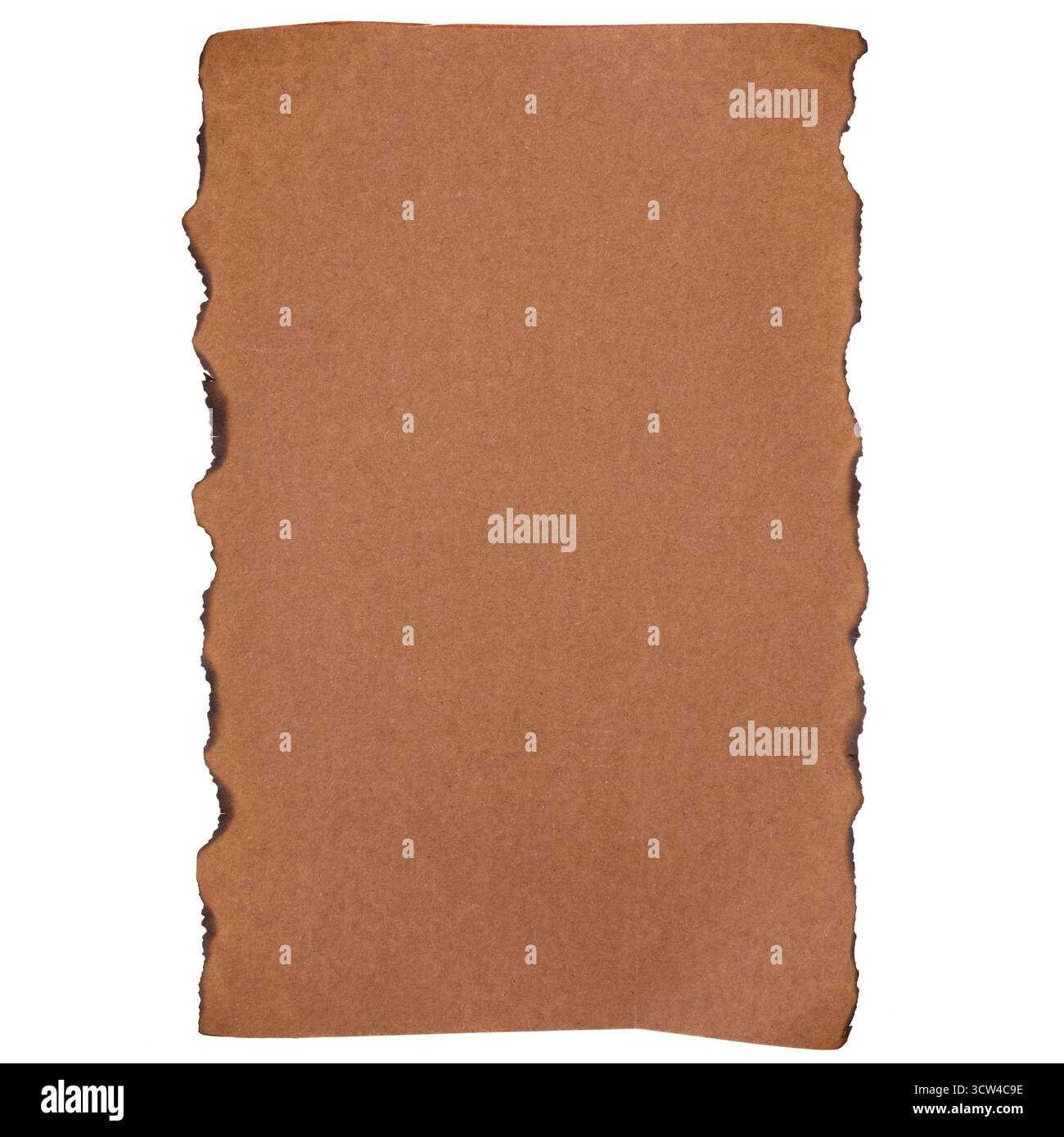 Carta kraft isolata su sfondo bianco. Primo piano di vecchi bordi bruciati vintage carta kraft, antico mockup di rotolo di cartone vuoto, spazio per le copie Foto Stock
