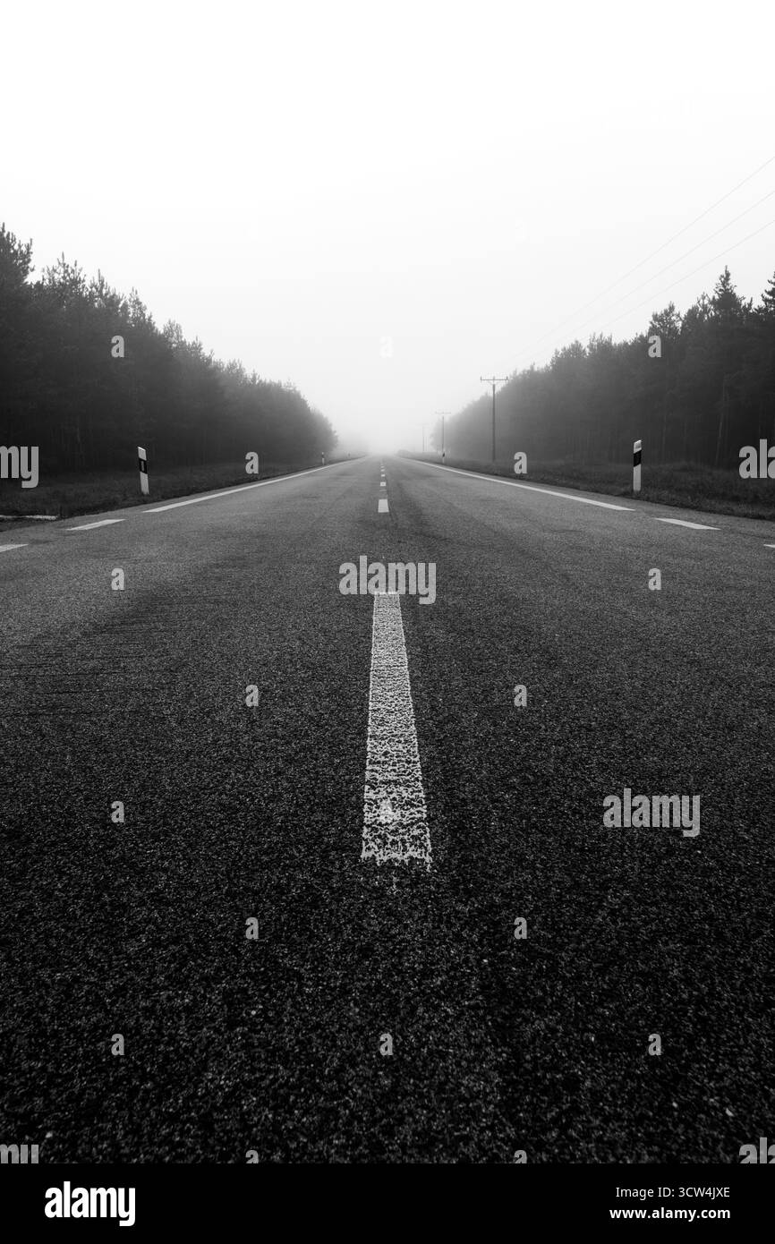 Una lunga e vuota strada scompare nella nebbia bianca, delimitata da alti alberi su entrambi i lati. L'atmosfera sembra calma e misteriosa. Foto Stock
