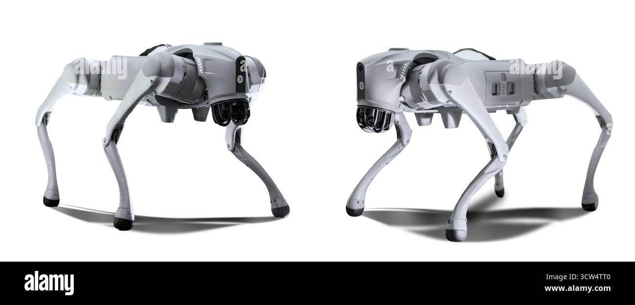 Cyber dog robotizzato su sfondo semplice. Foto Stock