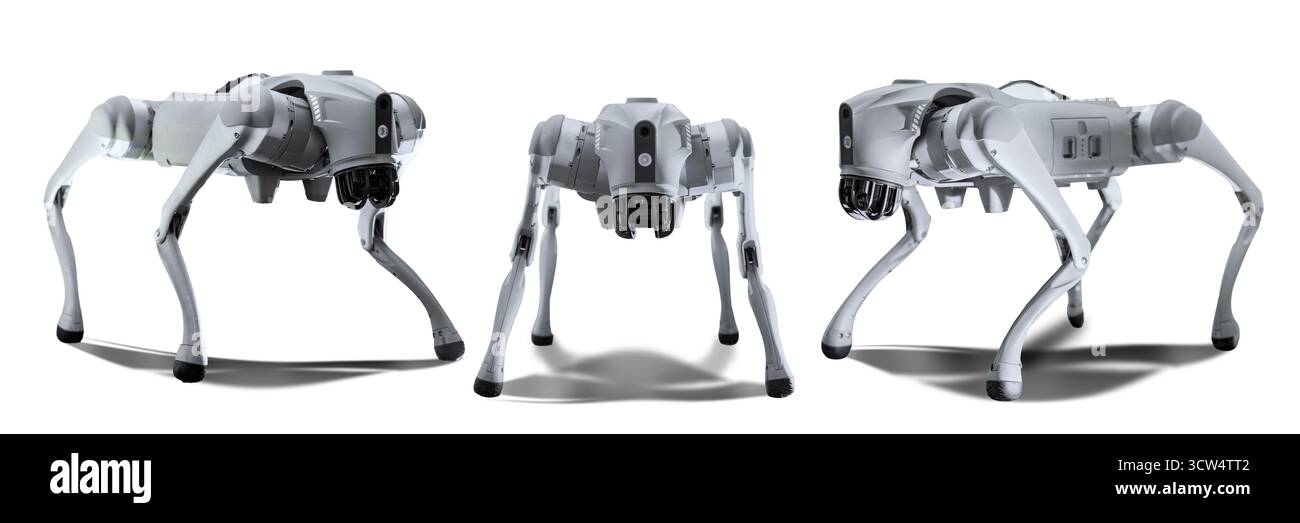 Cyber dog robotizzato su sfondo semplice. Foto Stock