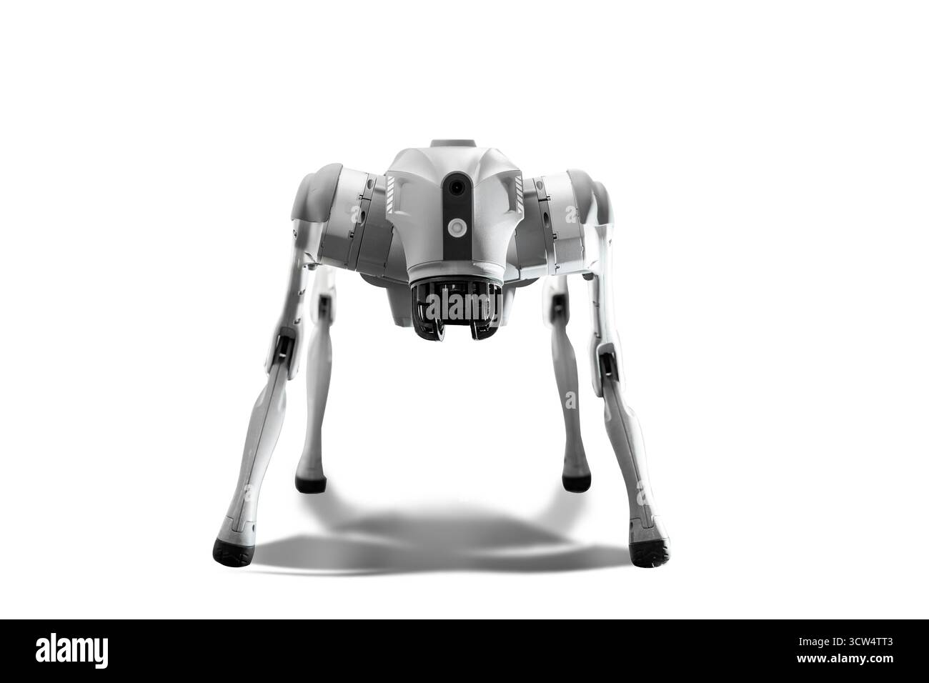 Cyber dog robotizzato su sfondo semplice. Foto Stock