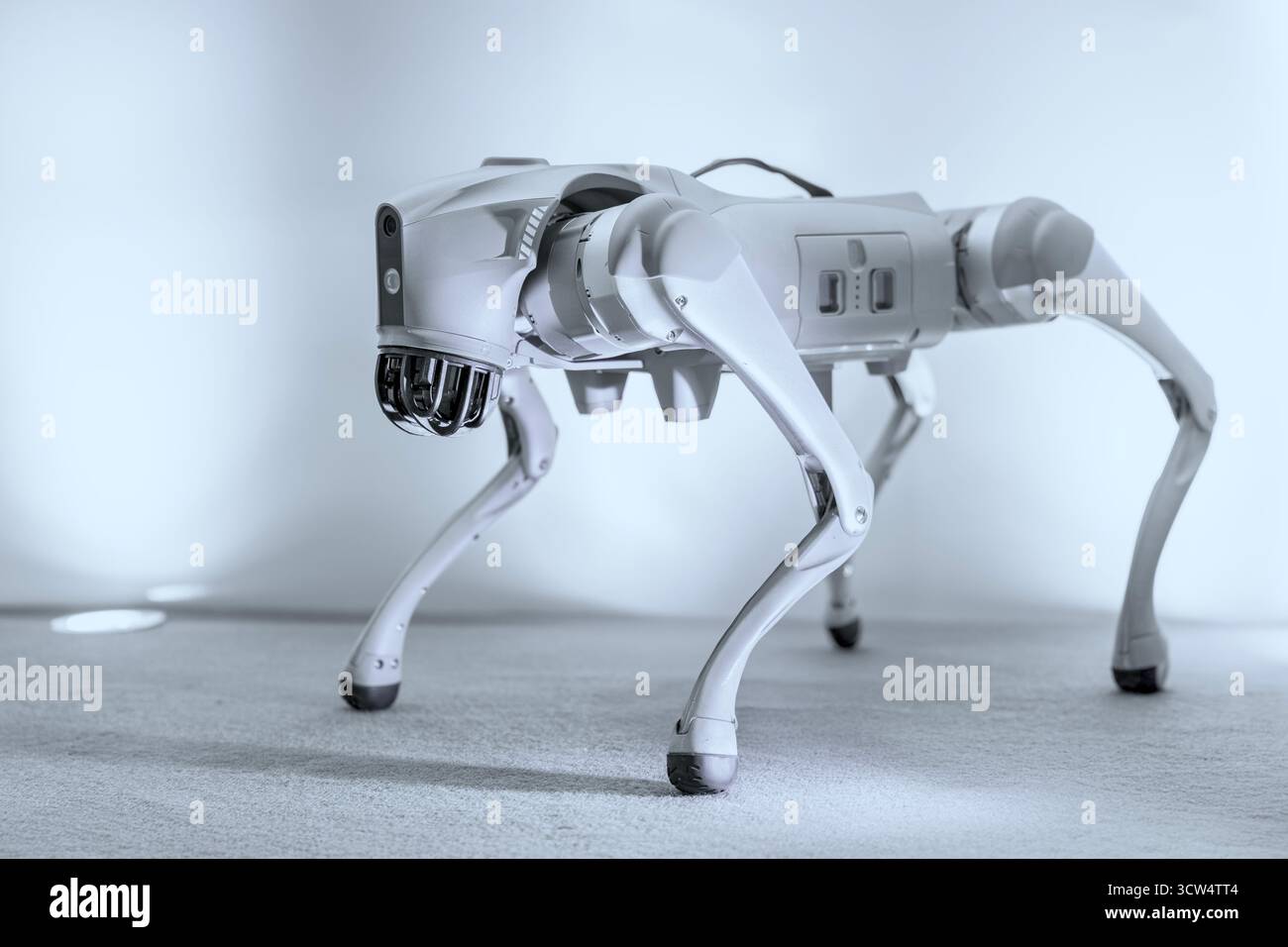 Cyber dog robotizzato su sfondo semplice. Foto Stock