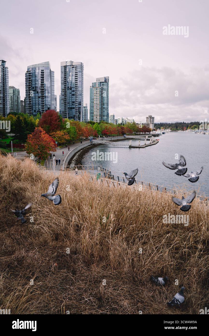 Gli uccelli volano sull'acqua vicino a un sentiero sul lungomare. Lo skyline della città si erge alto sullo sfondo, con alberi colorati che fiancheggiano la riva, cre Foto Stock