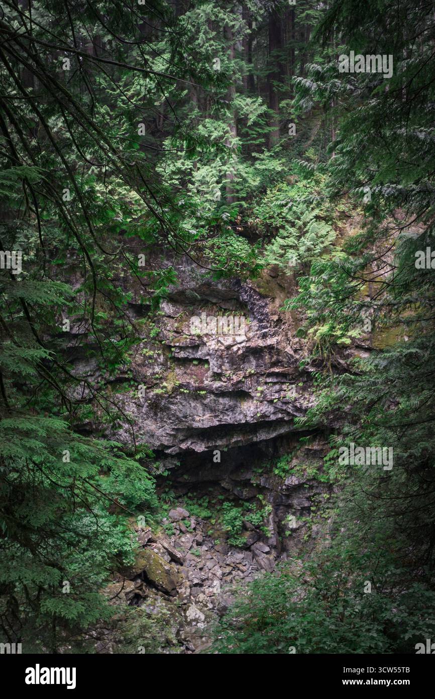 Il verde fogliame circonda una gola rocciosa nel profondo della foresta. La luce del sole filtra tra gli alberi, gettando ombre morbide sul terreno accidentato. L'acqua scorre Foto Stock